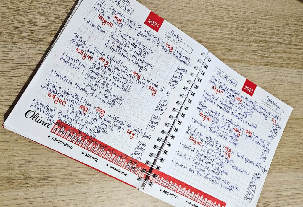 Diabet - jurnalul glicemiilor